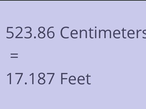 523.86 CM TO FEET