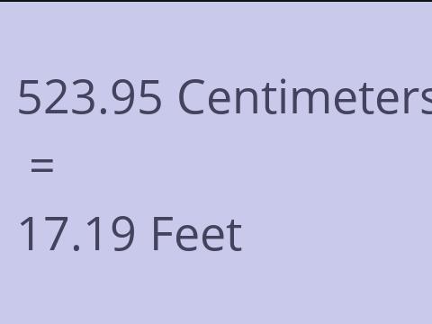 523.95 CM TO FEET