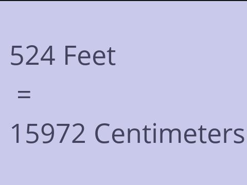 524 FEET TO CM