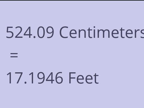 524.09 CM TO FEET