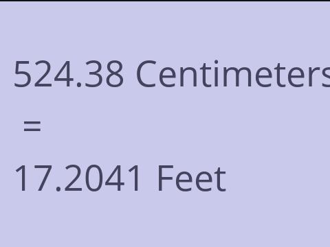 524.38 CM TO FEET