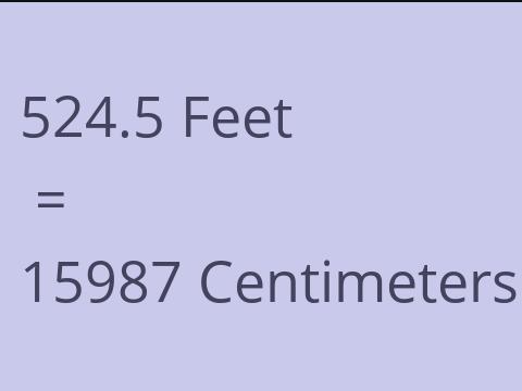 524.5 FEET TO CM