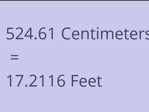 524.61 CM TO FEET