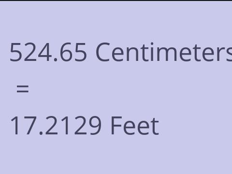 524.65 CM TO FEET