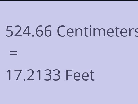 524.66 CM TO FEET