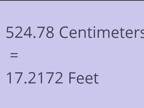 524.78 CM TO FEET