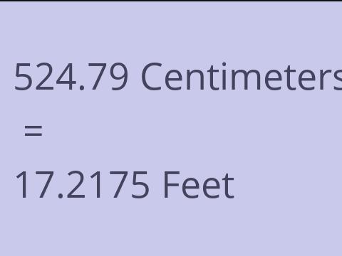 524.79 CM TO FEET