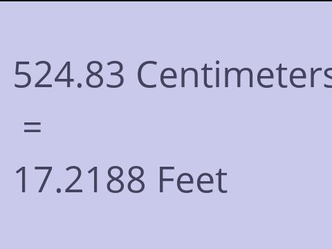 524.83 CM TO FEET