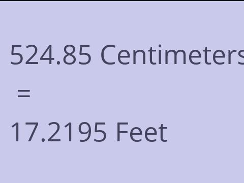 524.85 CM TO FEET