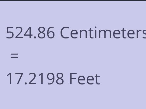 524.86 CM TO FEET