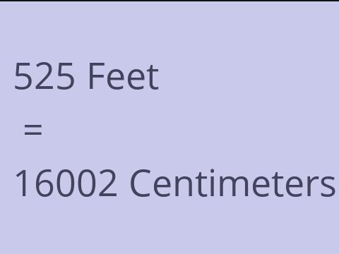 525 FEET TO CM