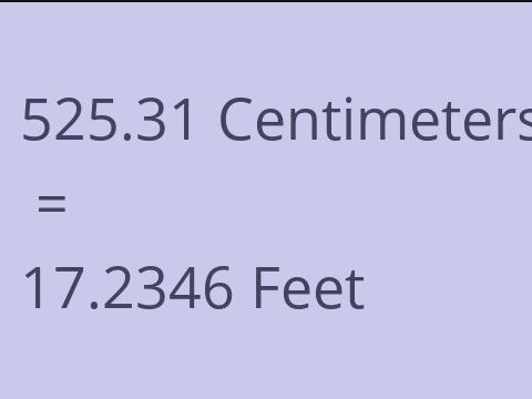 525.31 CM TO FEET