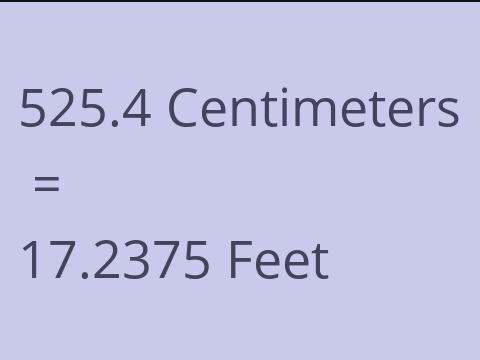 525.4 CM TO FEET