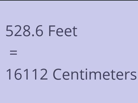 528.6 FEET TO CM