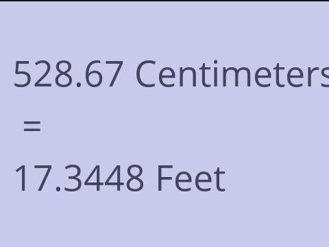 528.67 CM TO FEET