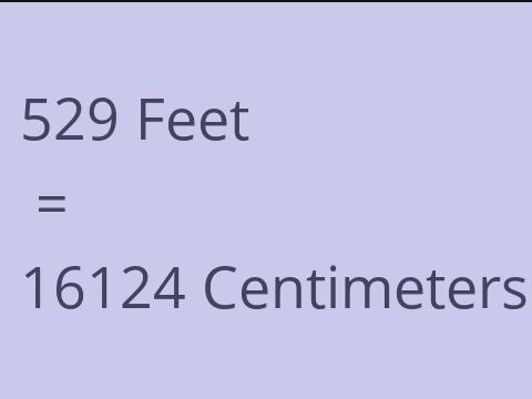 529 FEET TO CM