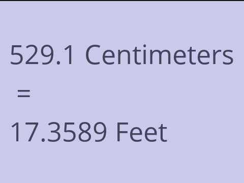 529.1 CM TO FEET