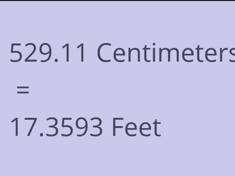 529.11 CM TO FEET