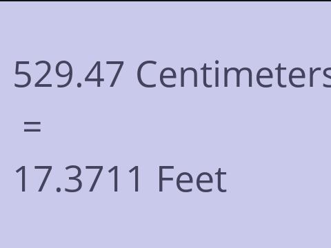 529.47 CM TO FEET