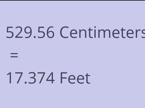 529.56 CM TO FEET