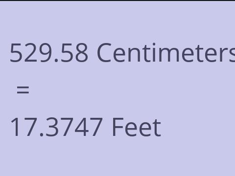 529.58 CM TO FEET