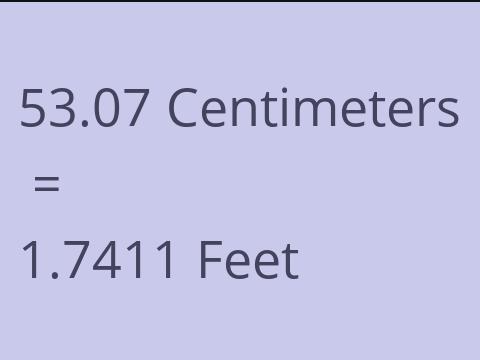 53.07 CM TO FEET