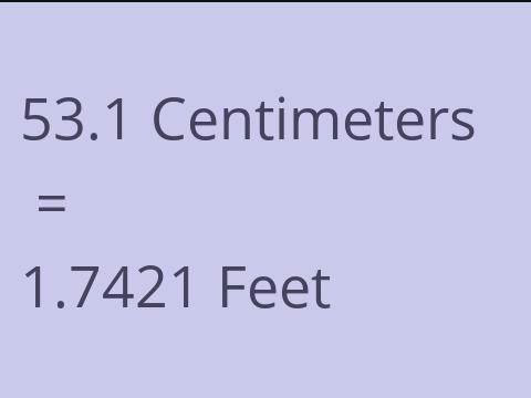 53.1 CM TO FEET