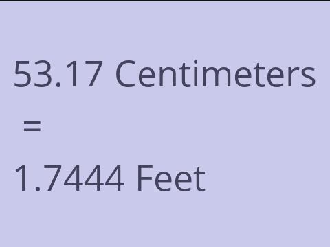 53.17 CM TO FEET