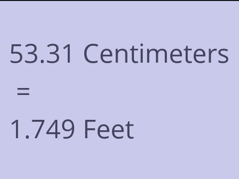 53.31 CM TO FEET