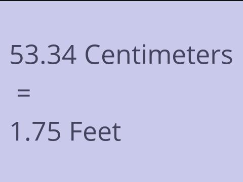 53.34 CM TO FEET