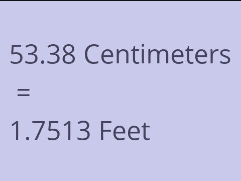 53.38 CM TO FEET