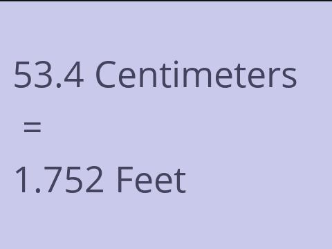 53.4 CM TO FEET