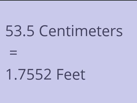 53.5 CM TO FEET