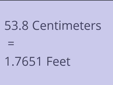 53.8 CM TO FEET