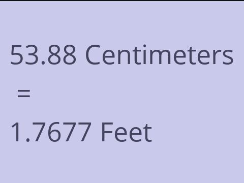 53.88 CM TO FEET