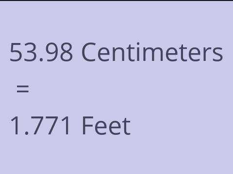 53.98 CM TO FEET