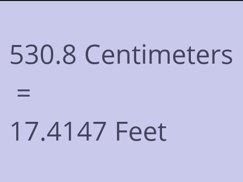 530.8 CM TO FEET