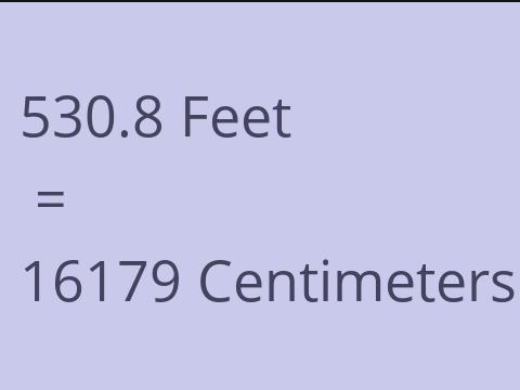 530.8 FEET TO CM