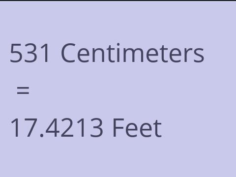 531 CM TO FEET