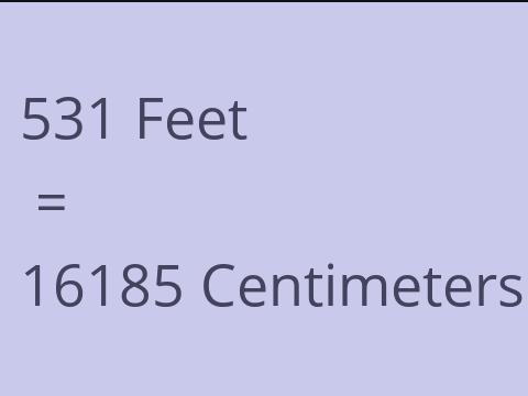 531 FEET TO CM