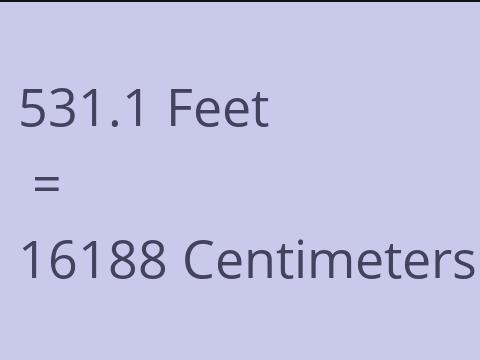 531.1 FEET TO CM