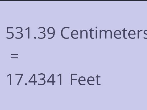 531.39 CM TO FEET