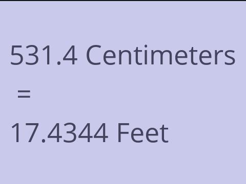 531.4 CM TO FEET