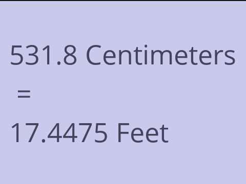 531.8 CM TO FEET