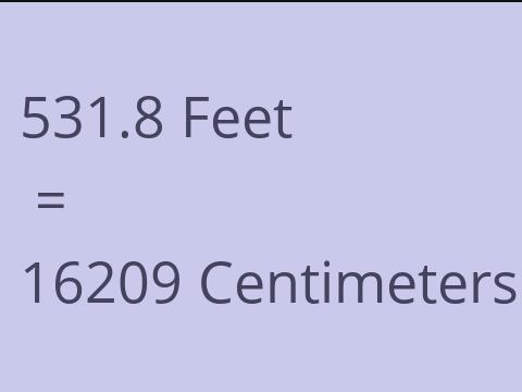 531.8 FEET TO CM