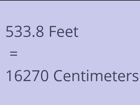 533.8 FEET TO CM