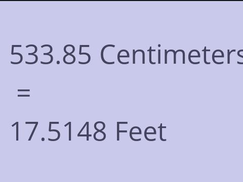 533.85 CM TO FEET