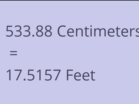 533.88 CM TO FEET