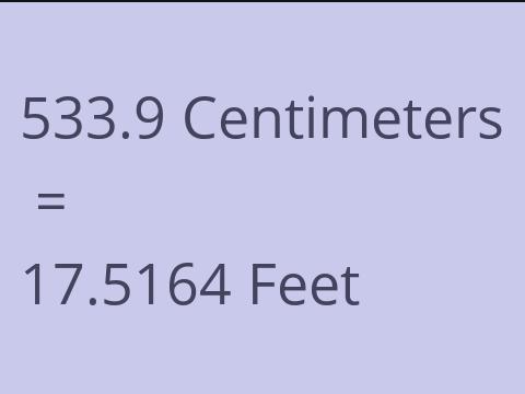 533.9 CM TO FEET