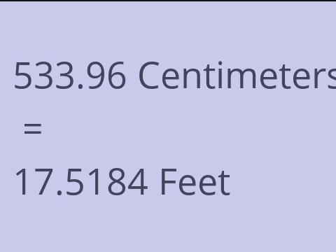 533.96 CM TO FEET